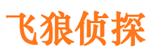 镇沅侦探